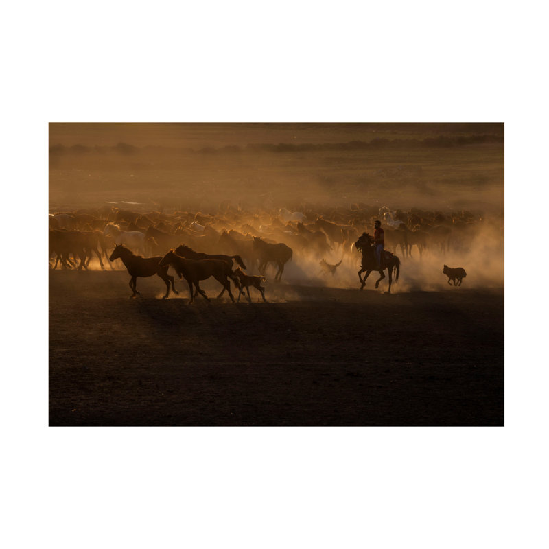 Ramiz sahin, beau pays des chevaux, art sur toile, H 16 po x l 24 po