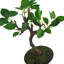 63.5cm Faux Bonsai Plant in Pot Liner