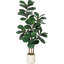 120cm Plant