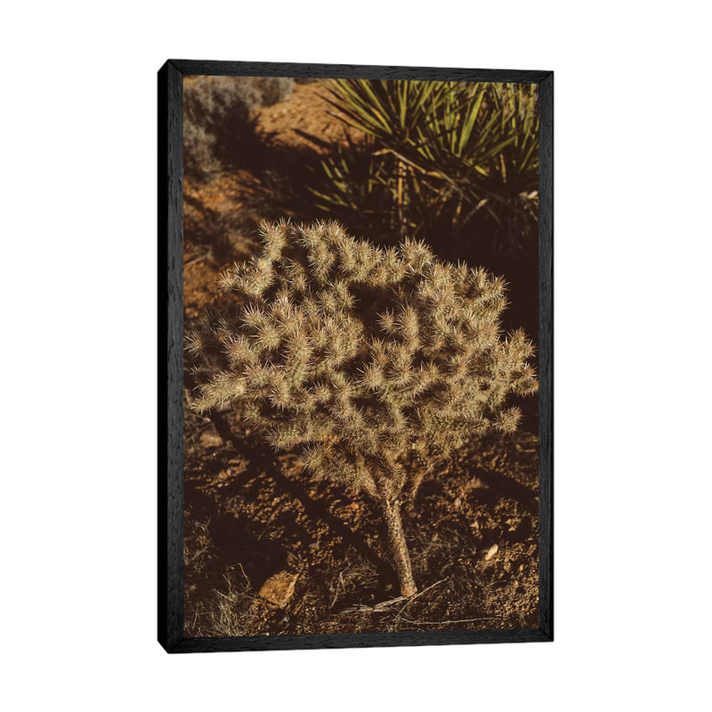 Joshua Tree National Park XIX by Bethany Young - Print on Canvas, 101.6cm H x 66.04cm W x 3.81cm D, Black Framed