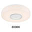 Acrylic LED Flush Mount