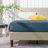 Rajneet Upholstered Platform Bed-972576496-1006865183