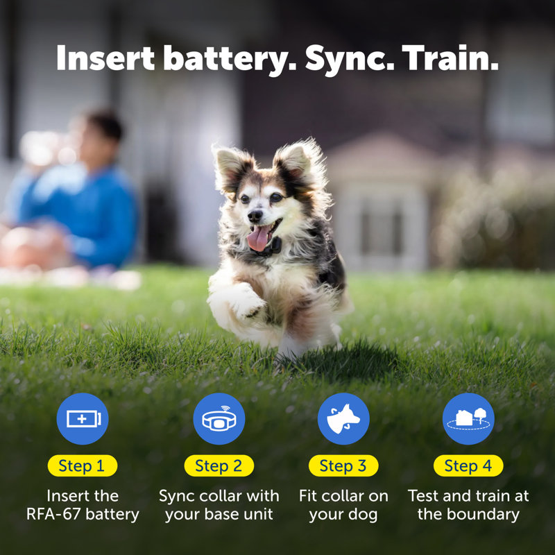 PetSafe Wireless Pet Containment System Receiver Collar