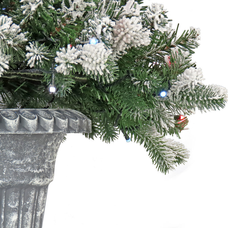 24" Snowy Sheffield Spruce Porch Bush With Twinkly LED Lights