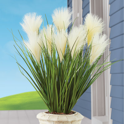 Pampas