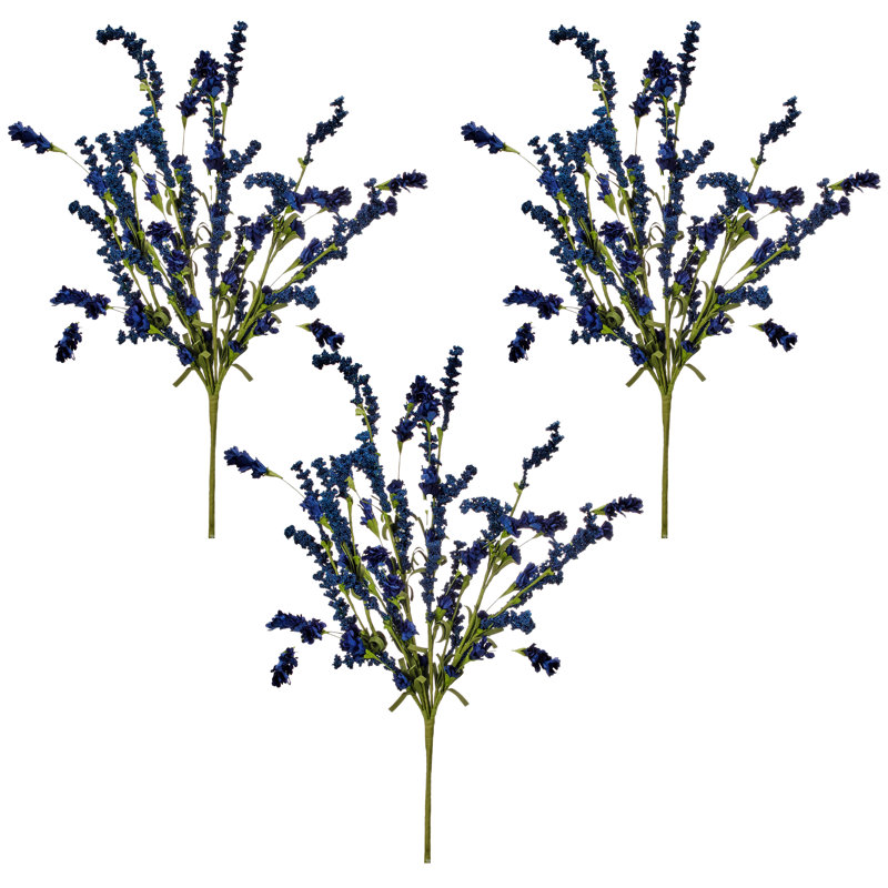 22 po Clover Berry Bush, Bleu