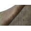 Hand-Knotted High-Quality Beige Area Rug