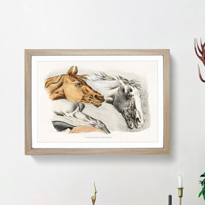 Horse Illustrations by Henry Alken - Picture Frame Painting Print