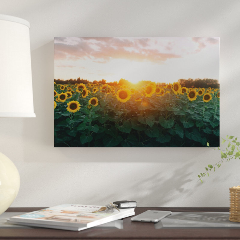 «Sunflower Field and Sunset», reproduction de photo sur toile, H 18 po x l 26 po x P 1,5 po, Pas de tapis, Toile tendue