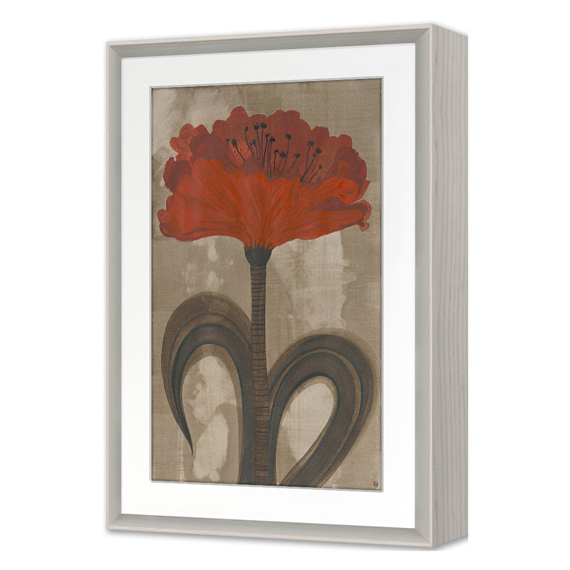 Orange Blossom Print by Morlock, Jody, White Wash Oak Single Picture Framed, 26'' H x 18'' W