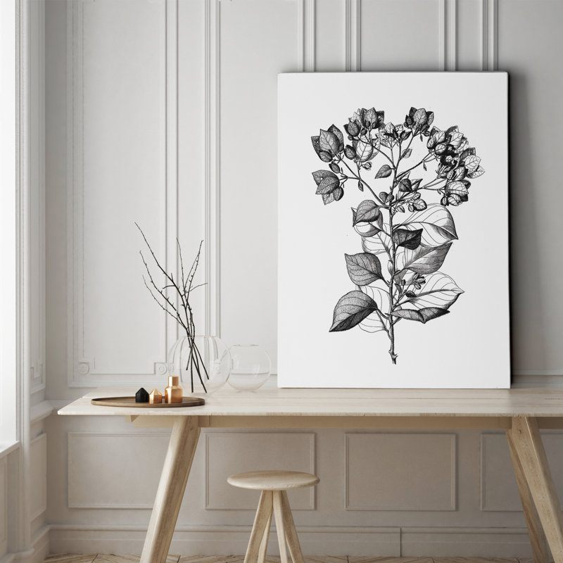 « botanique noir et blanc i », reproduction d’impression sur toile tendue, H 36 po x l 48 po x P 1,5 po