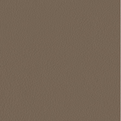 Elan Khaki Sample