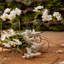 Mini arrangement floral d'orchidées phalaenopsis