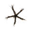 Rustic Lodge 5 - Light Chandelier
