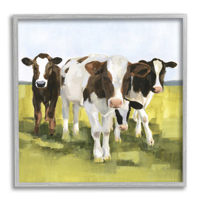 " Country Cows Rural "