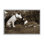«Want To Play» par Jim Dratfield, reproduction d'art