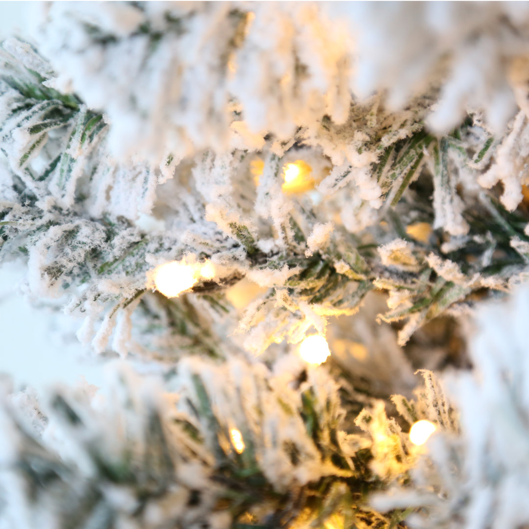 Snow Flocked Fir Artificial Christmas Tree With Lights The Holiday Aisle® 