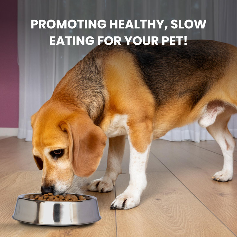 Stainless Steel Anti-Ant Non-Skid Pet Bowl, 32 Oz