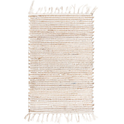 Flatweave Indoor Rug
