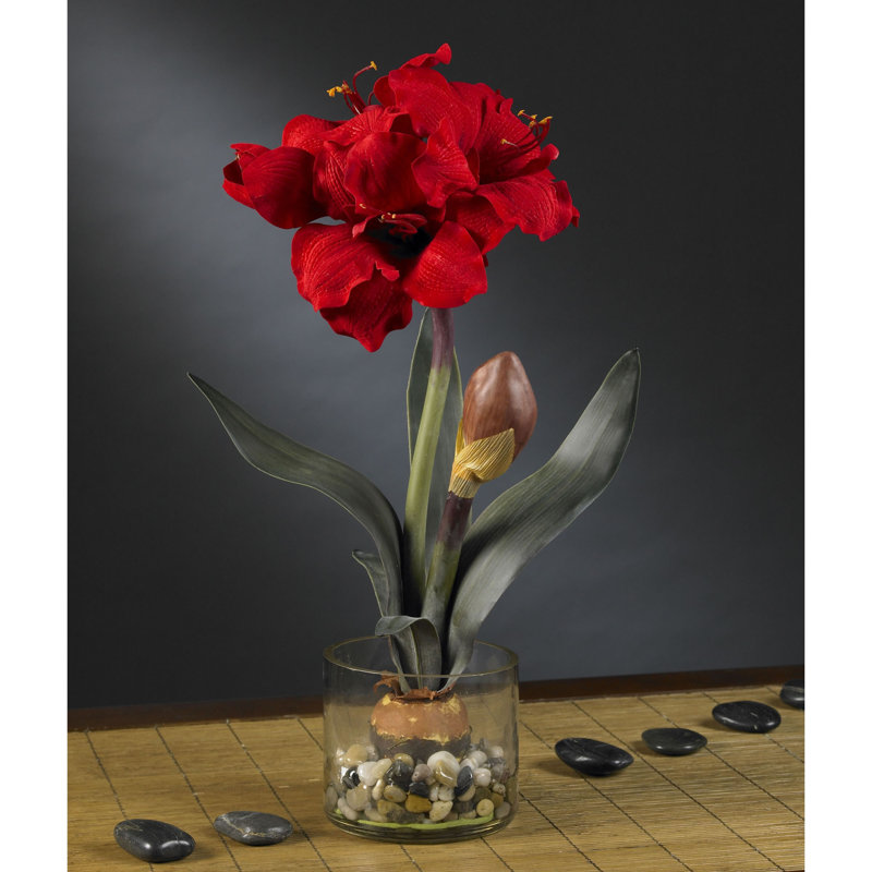 Amaryllis Centerpiece in Vase