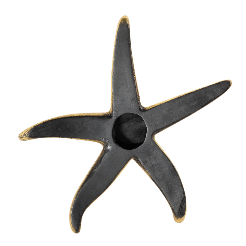 4 Piece Starfish Wall Décor Set, Medium