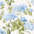 Hortensia bleue sélectionné
