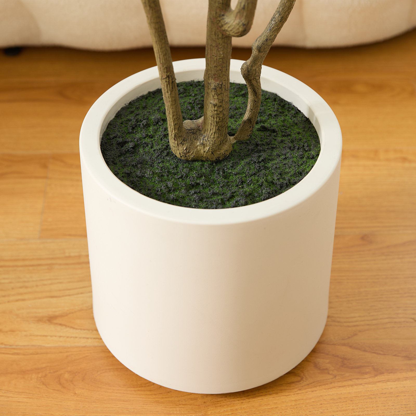 George Olive Tree in Planter, 84" H x 28" W x 28" D