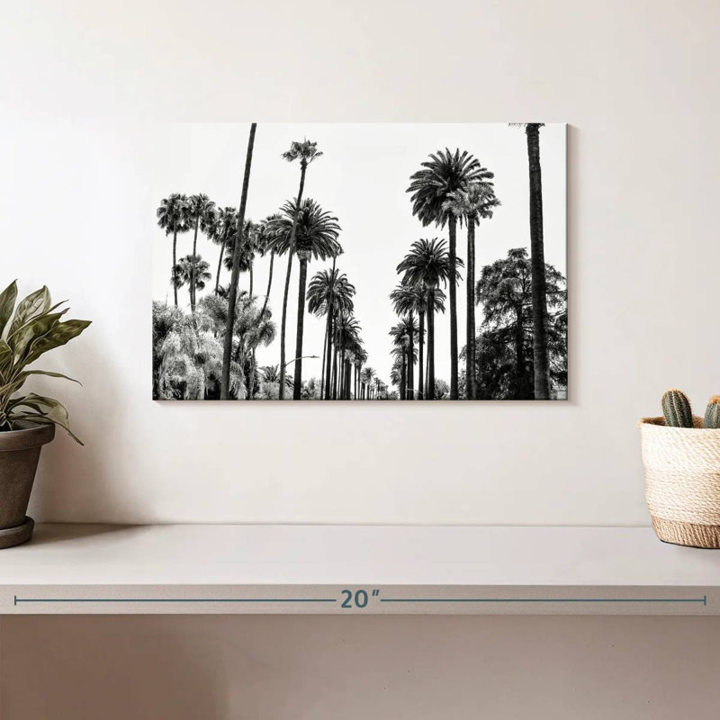 Palmeraie Harnek, Californie, Californie, H 8 po x l 12 po