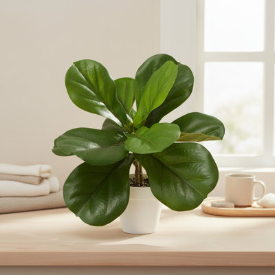 Algreen 15" Faux Ficus in White Decorative Planter