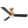 Morrow 48'' Ceiling Fan with LED Lights