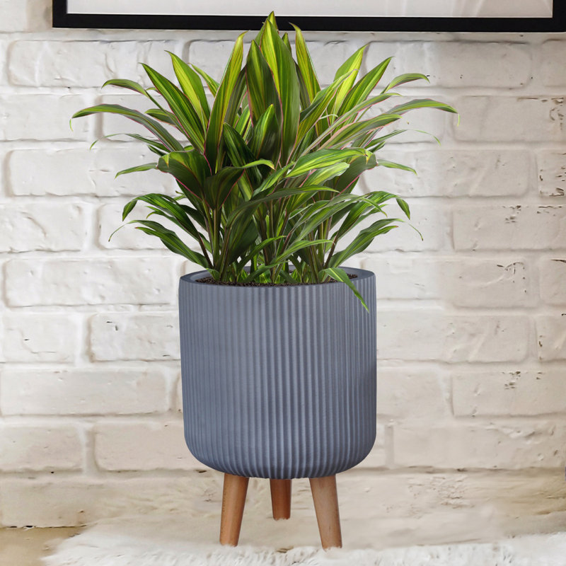 Ribbed Cylinder Planter with Feet, Grey, 36cm H x 25.5cm W x 25.5cm D