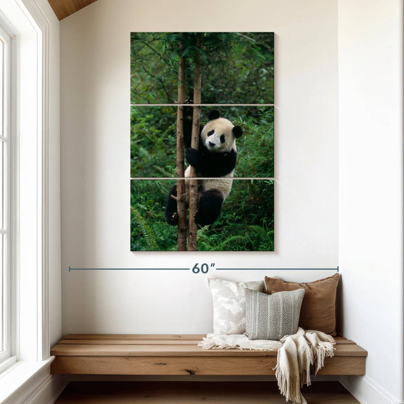 Brampt Climbing Panda, 50" H x 32" W