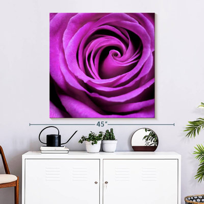 Harnek Purple Rose