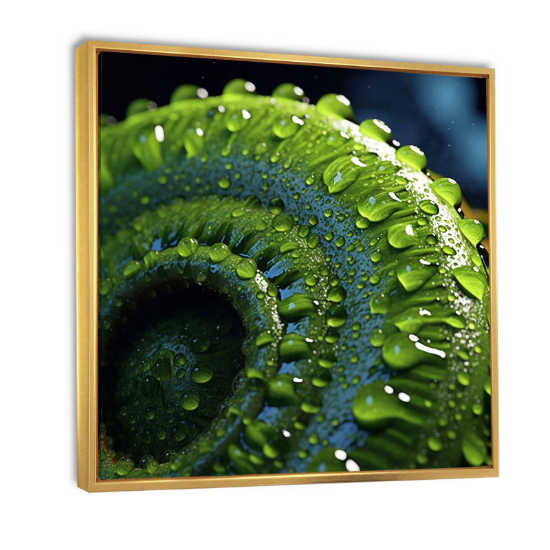 Spirale de fougère recouverte de gouttes de rosée I sur toile, H 36 po x l 36 po x P 1,5 po, Cadre flottant doré