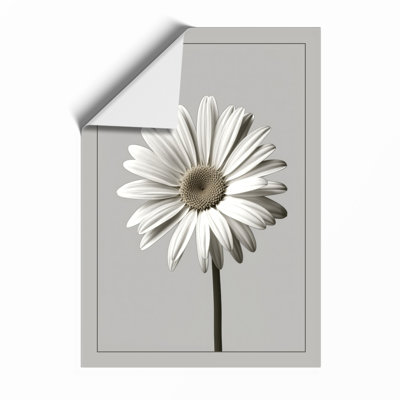 Single Daisy Study Botanical - Framed Print