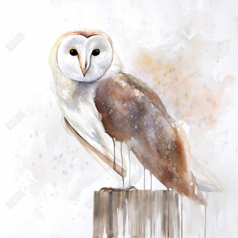 Barn owl - 26"x26" Throw pillow cover - Poly twill - Print on demand, 26" H x 26" W