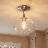 Lani 1-Light Ceiling Light in Polished Nickel-1485499159