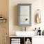 Alphonia 34mm W 53mm H Surface Framed Medicine Cabinet Mirror 1 Fixed