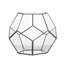 Terrarium géométrique en verre 6,9 po Pentarium