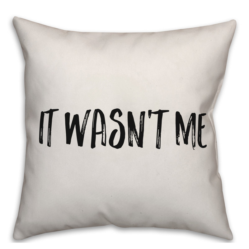 Coussin It It Was not Me, 16 po x 1 po