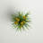 Artificial Potted Yellow Cosmos and Green Grass.-1560106796