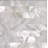 Authentic SeaShell Decorative Tile Insert