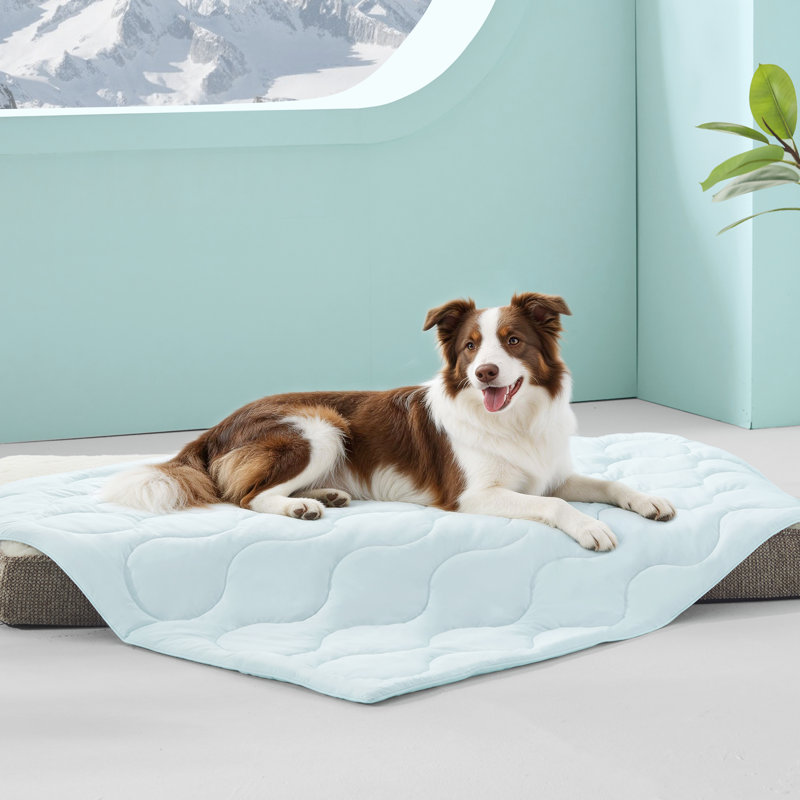 Couverture légère et réversible pour chien, Aqua Blue, XL