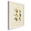 Bass Flies I, reproduction d'art sur toile-467147941-467147951
