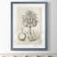 «Fresco Crown Imperial II» par Paul Cezanne - reproduction d'art-776869825-776869832