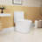 1.1/1.6 GPF Elongated Comfort Height Super Quite Flushing Floor Mounted One-Piece Toilet, CUPC Certified, Watersense Cetified, Ceramic, White Color, Soft Close Seat