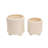 Set of 2 Ceramic Planters Indoor and Outdoor-405657624-405657623