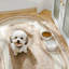 Flower Embossed Pattern Anti-skid Stoneware Dog Bowl-116384227