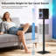 Speaker Stands, Height Adjustable Set Of 2