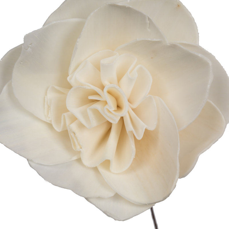 Preserved Gardenia Arrangement